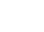 NEX WEB